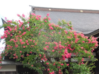 IMG_0637.JPG