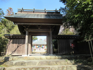 IMG_1338.JPG