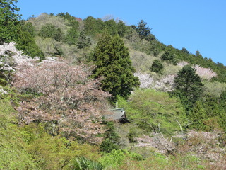 IMG_1672.JPG