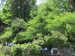 IMG_1761.JPG