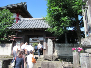 IMG_2317.JPG
