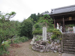 IMG_2387.JPG
