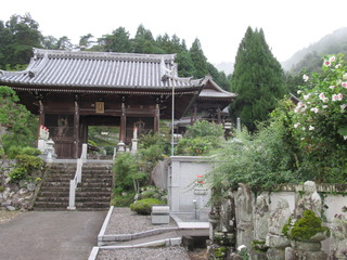 IMG_2388.JPG