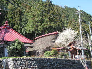 IMG_3138.JPG